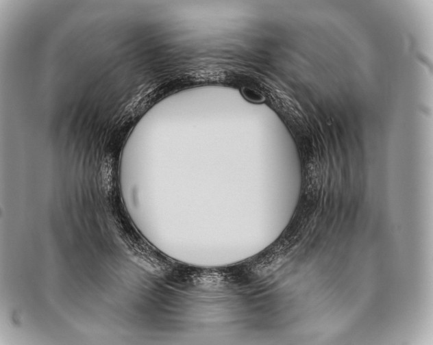 X0000096160600200802081435