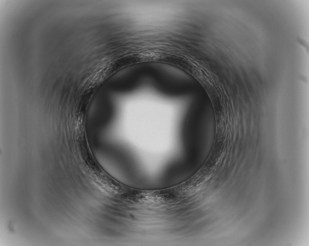 X0000096160601200802081435