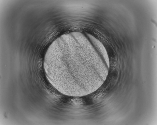 X0000096160603200802081435