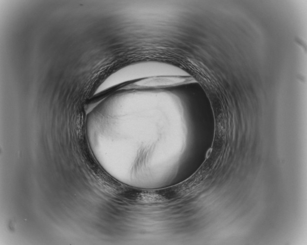 X0000096160605200802081435