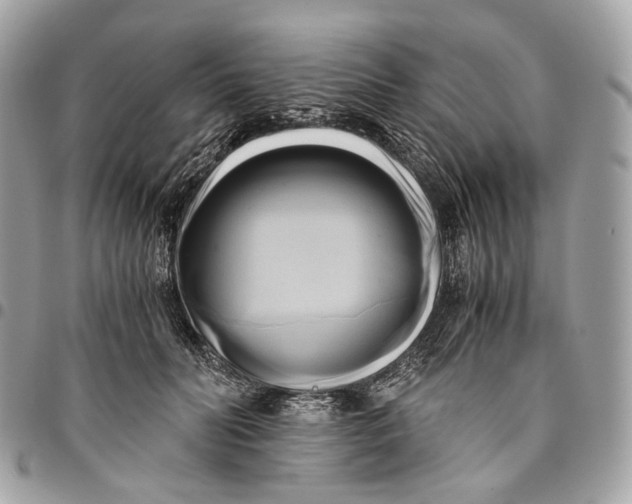 X0000096160606200802081435