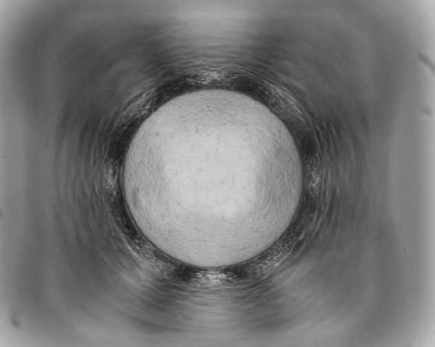 X0000096160607200802081435