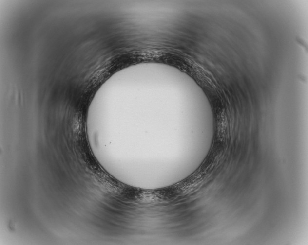 X0000096160608200802081435