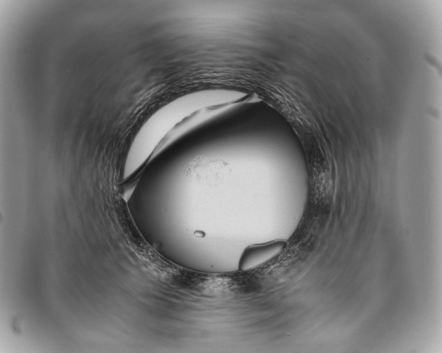 X0000096160609200802081435