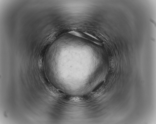 X0000096160611200802081435