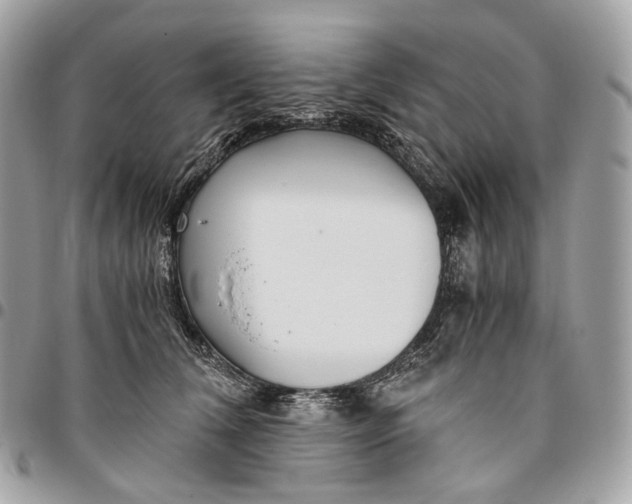 X0000096160612200802081435