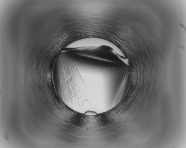 X0000096160613200802081435