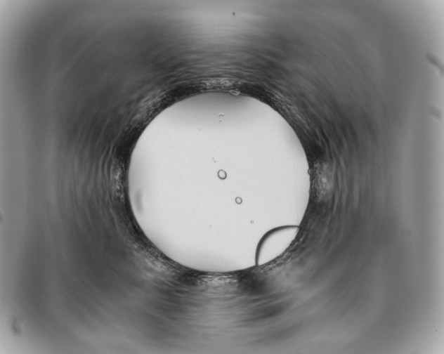 X0000096160619200802081435