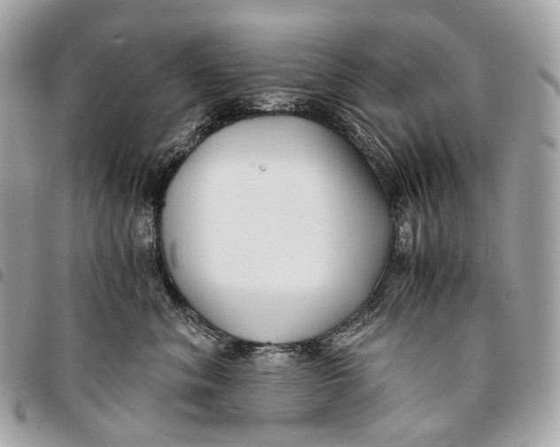 X0000096160620200802081435