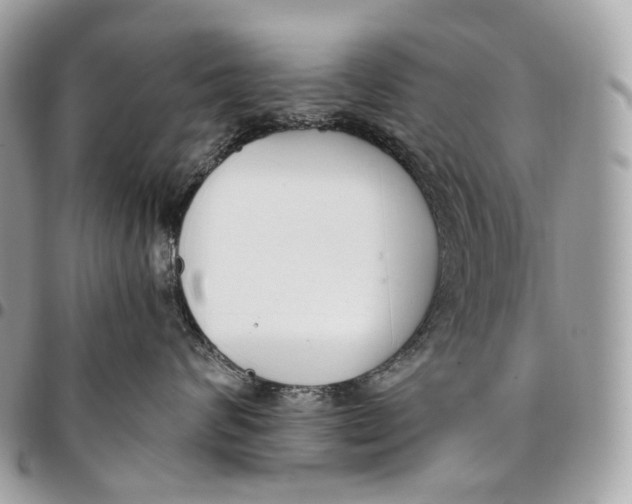 X0000096160624200802081435