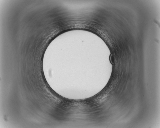 X0000096160625200802081434