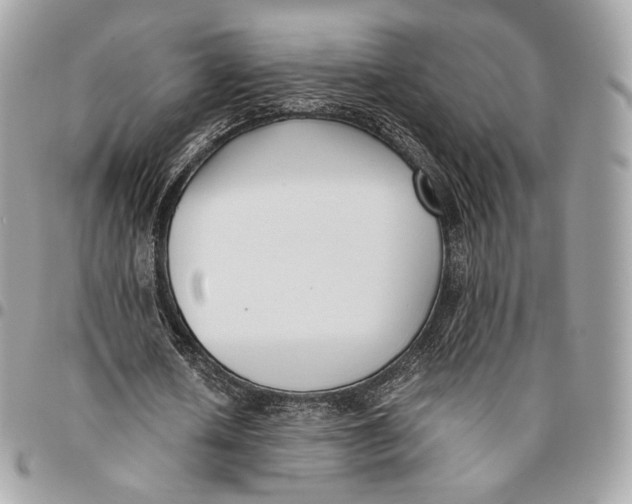 X0000096160626200802081435