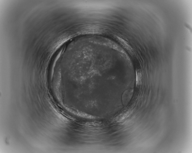 X0000096160627200802081435