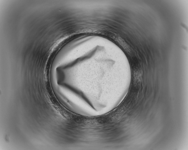 X0000096160628200802081435