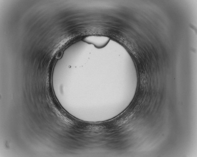 X0000096160629200802081435