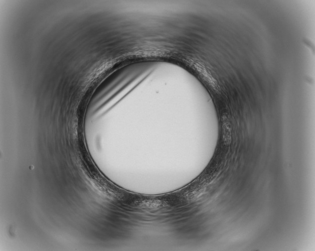 X0000096160631200802081435