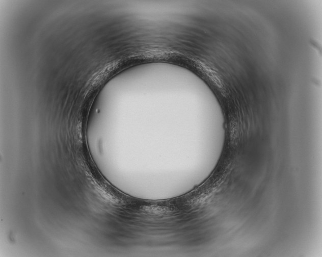 X0000096160633200802081435