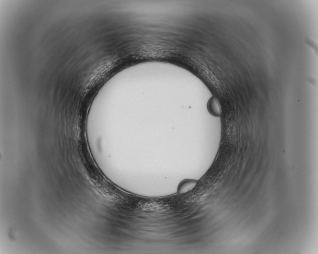 X0000096160635200802081435