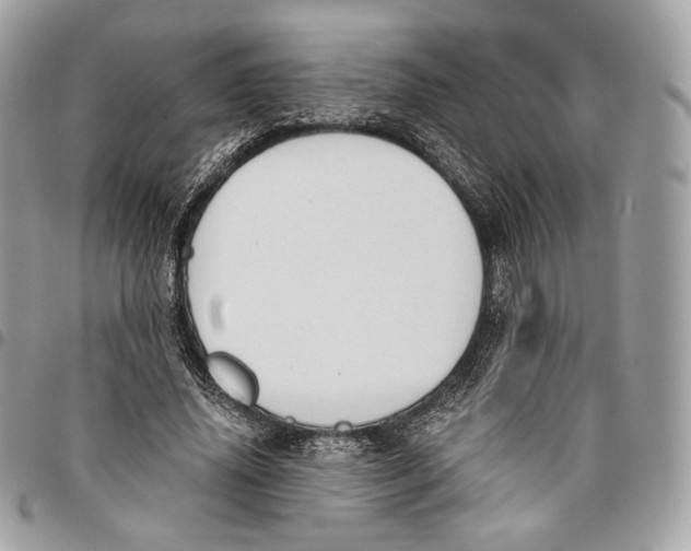 X0000096160636200802081435