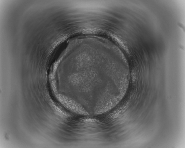 X0000096160637200802081435