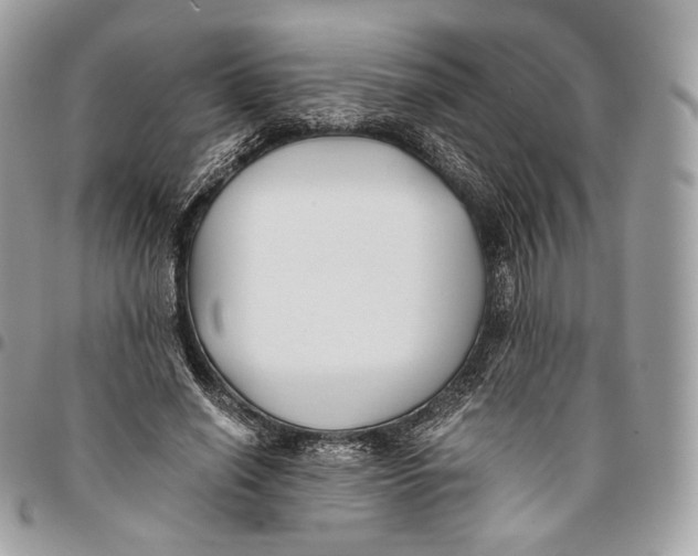 X0000096160638200802081435