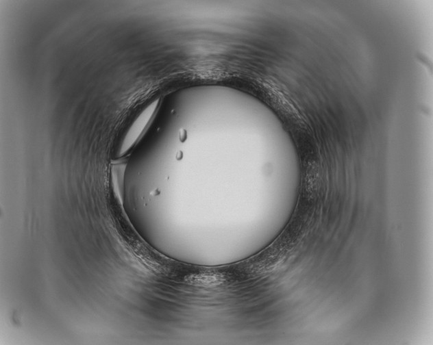 X0000096160639200802081435