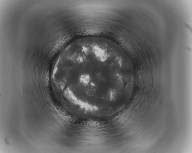 X0000096160640200802081435