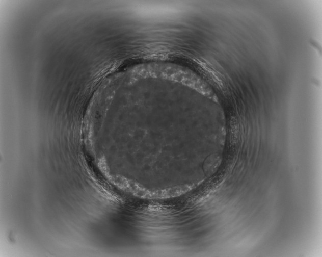 X0000096160641200802081435