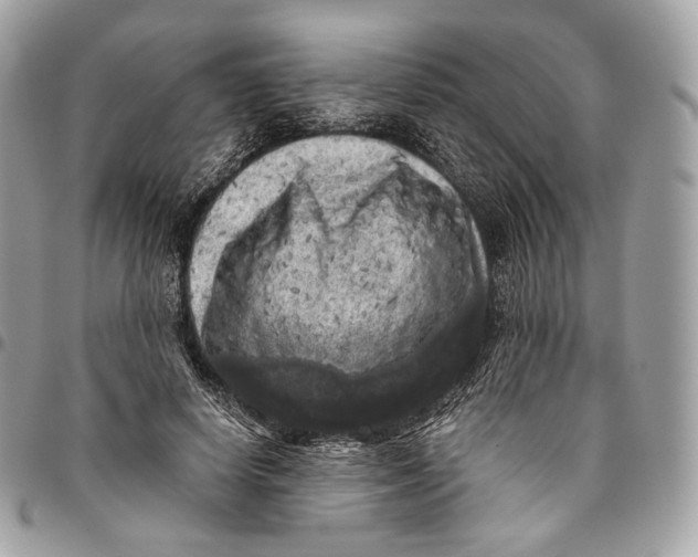 X0000096160642200802081435