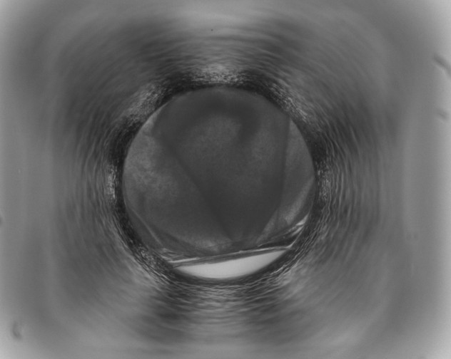 X0000096160643200802081435