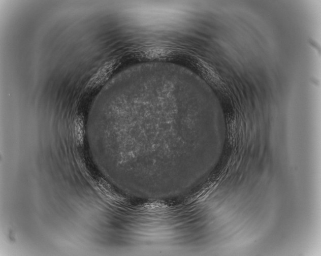 X0000096160644200802081435