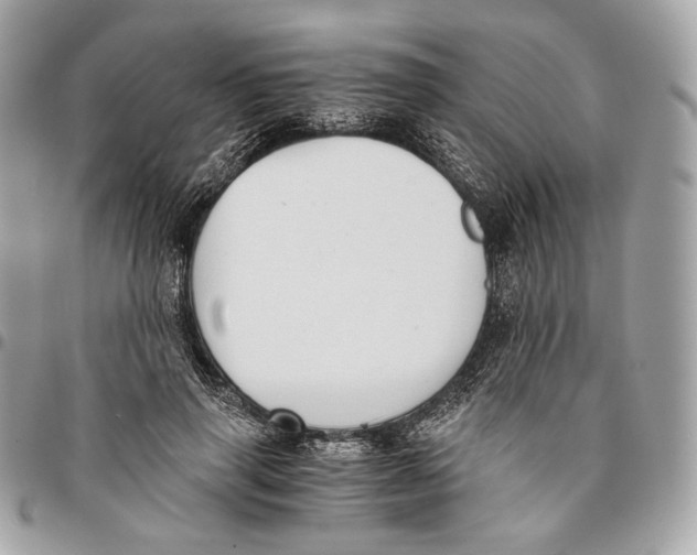 X0000096160645200802081435