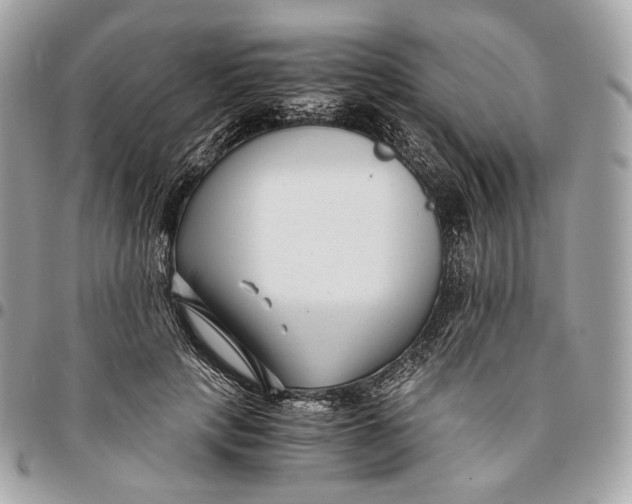 X0000096160649200802081435