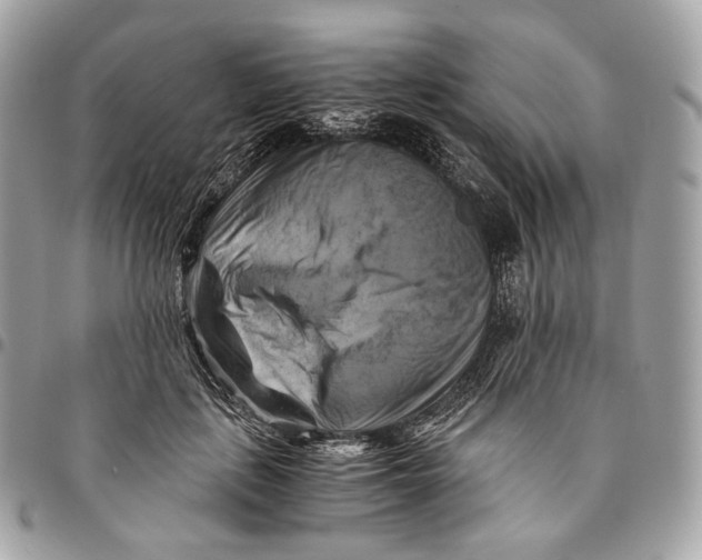 X0000096160651200802081435