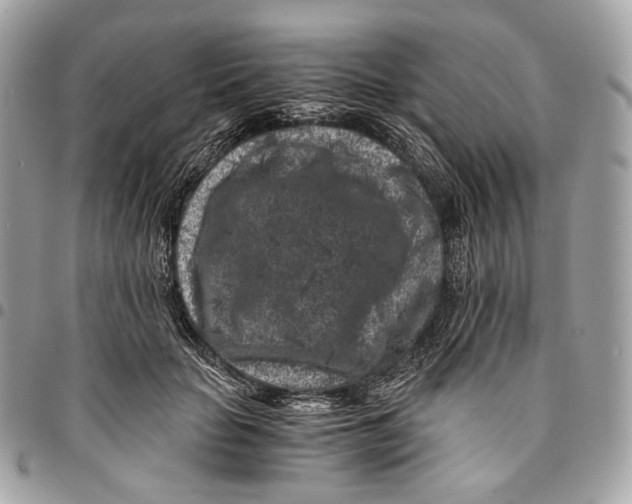 X0000096160653200802081435