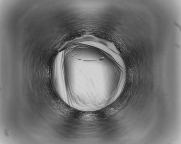 X0000096160657200802081435