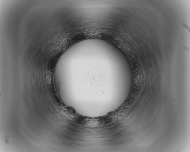 X0000096160658200802081435