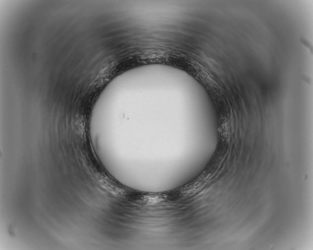 X0000096160662200802081435