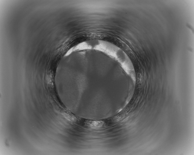 X0000096160663200802081435