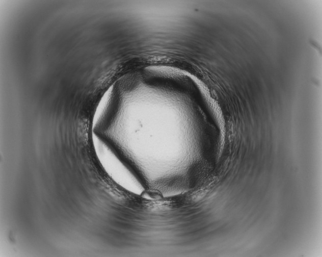 X0000096160664200802081435