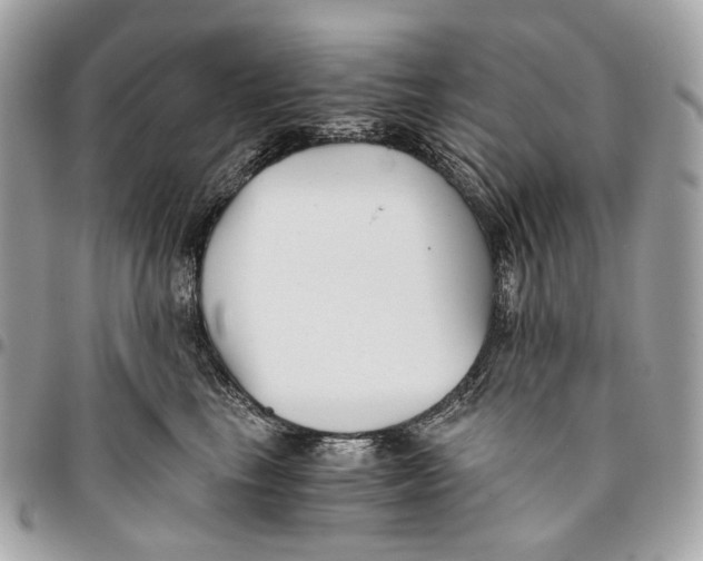 X0000096160665200802081435