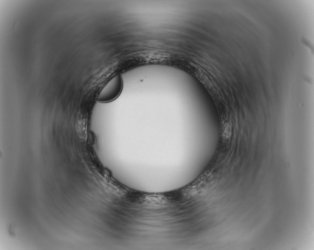 X0000096160666200802081435