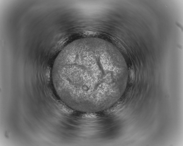 X0000096160668200802081435