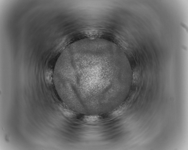 X0000096160671200802081435