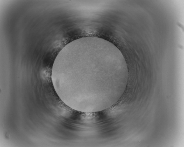 X0000096160672200802081435