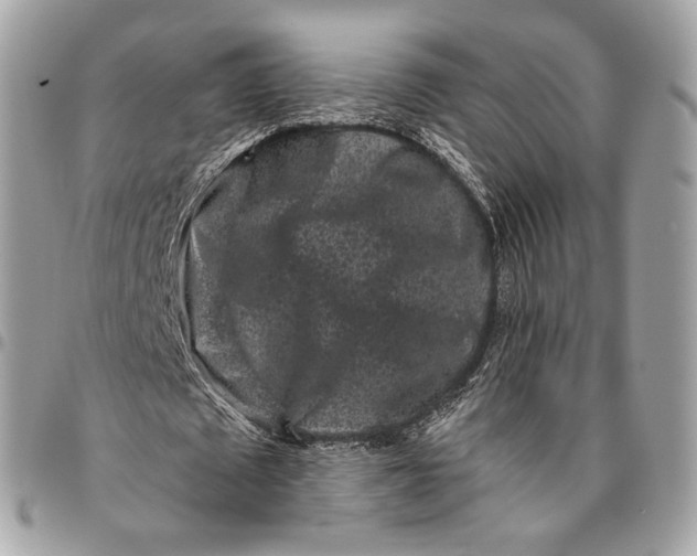 X0000096160673200802081434