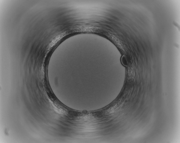 X0000096160674200802081434