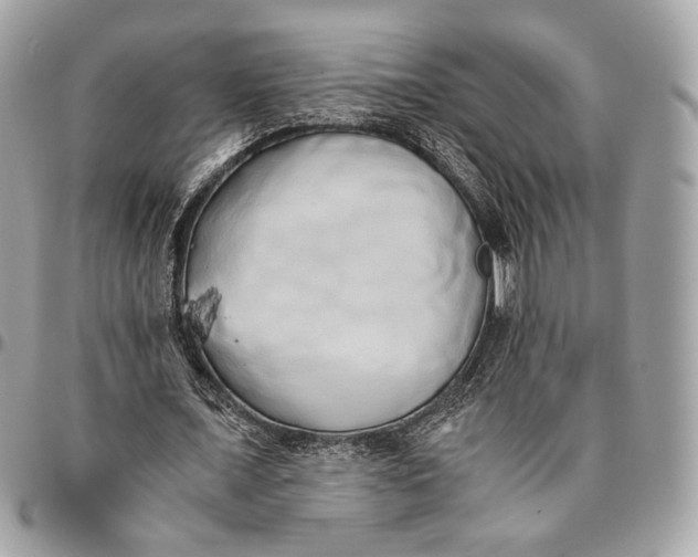 X0000096160675200802081434