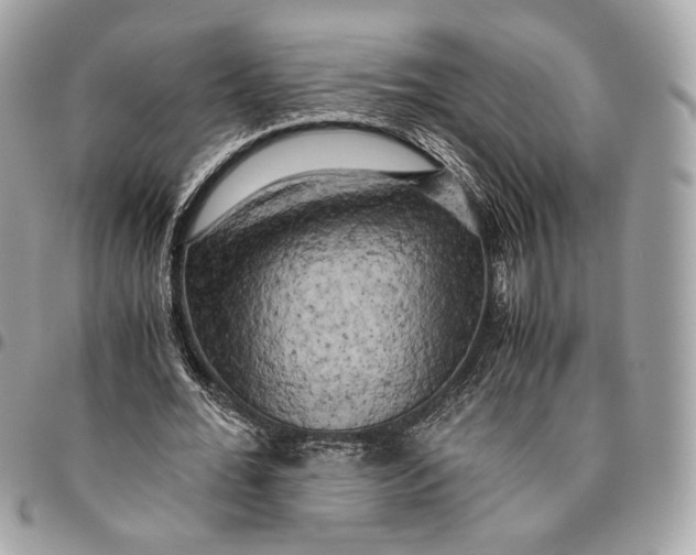 X0000096160676200802081434