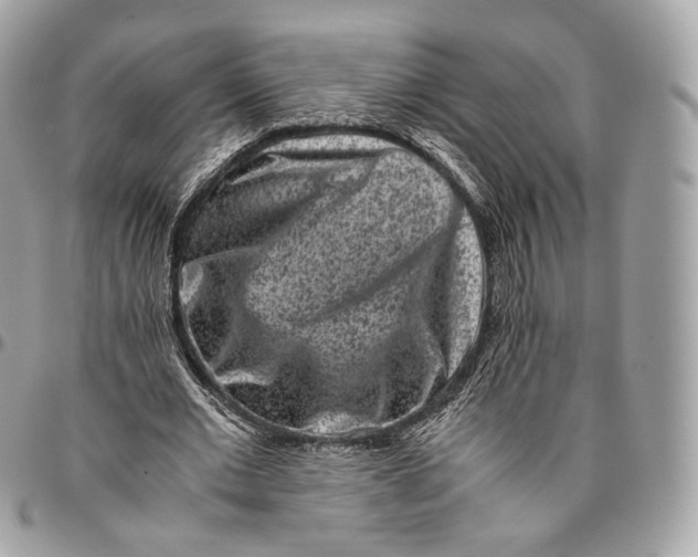 X0000096160677200802081434